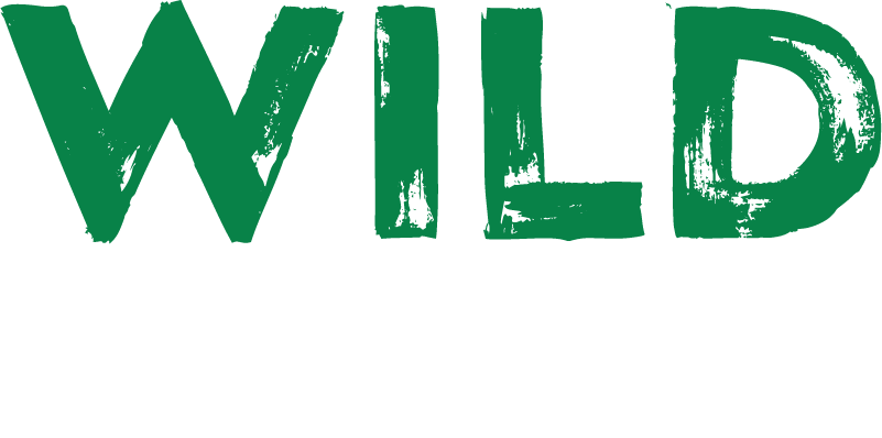 Wild casino no deposit bonus