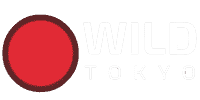 Wild Tokyo No Deposit Bonus